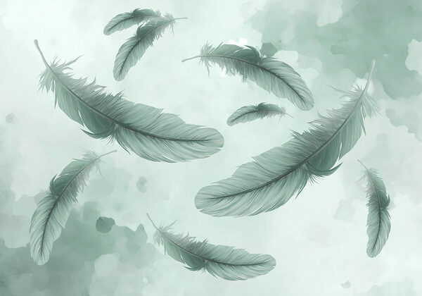 Group of feathers floating in the air Group of feathers floating in the air