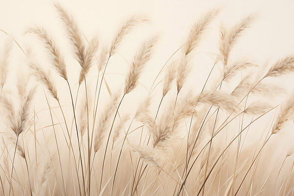 Gentle breeze through tall grasses Gentle breeze through tall grasses