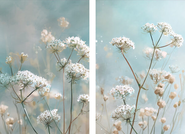 Delicate blooms in soft colors Delicate blooms in soft colors