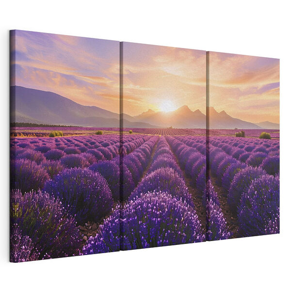 Campo de lavanda con las montañas al fondo Lámina modular sobre lienzo Campo de lavanda con las montañas al fondo