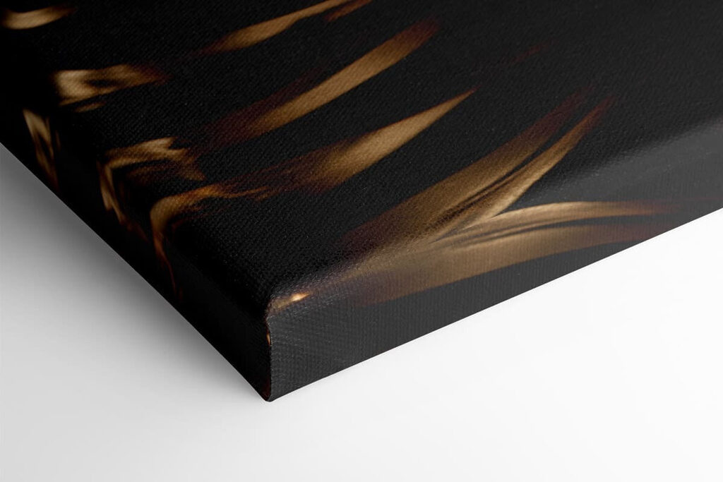 - Striking contrast of colors and textures - Striking contrast of colors and textures