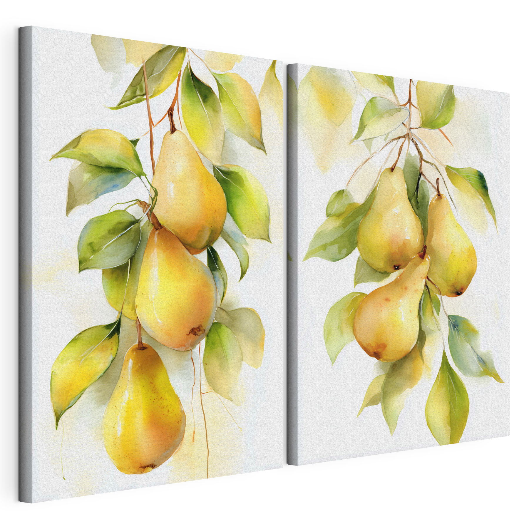 Watercolor painting of pears on a branch Watercolor painting of pears on a branch