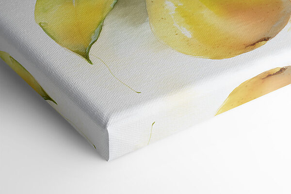 Watercolor painting of pears on a branch Watercolor painting of pears on a branch