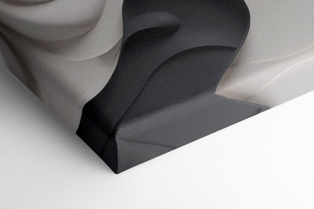 - Fluid shapes in monochrome tones - Fluid shapes in monochrome tones