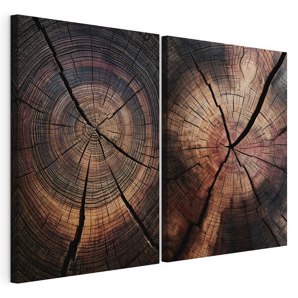 Lámina modular sobre lienzo Motivos naturales en la madera envejecida