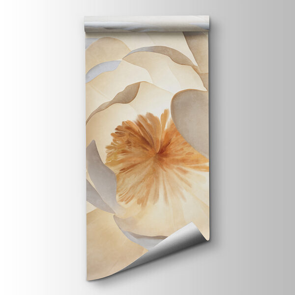 Soft petals illuminated from within