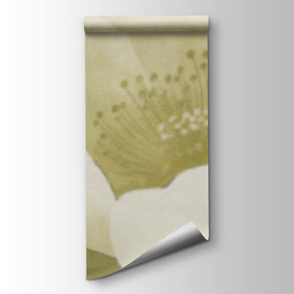 Delicate beauty in soft hues
