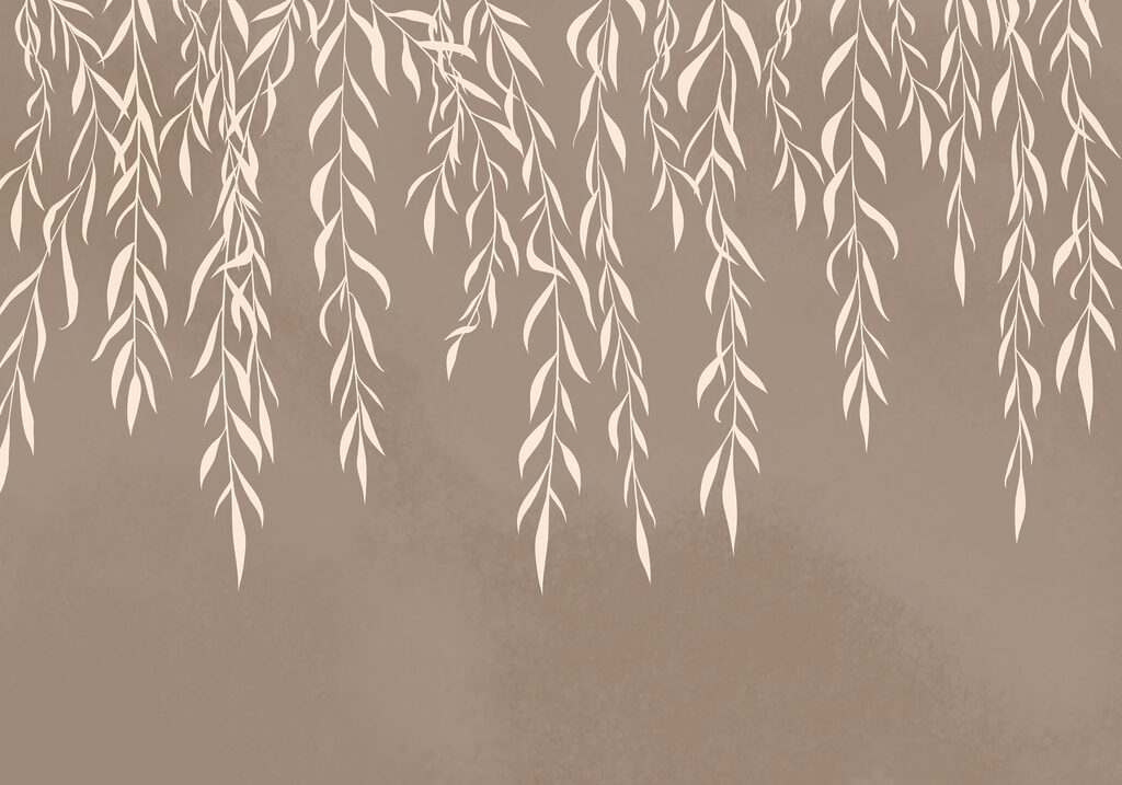 Delicate leaves draping gracefully down Delicate leaves draping gracefully down