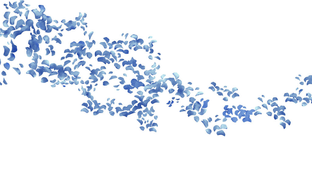 Fotomurales Pétalos de flores azules sobre un fondo blanco (SKU: t01140) Fotomurales Pétalos de flores azules sobre un fondo blanco (SKU: t01140)